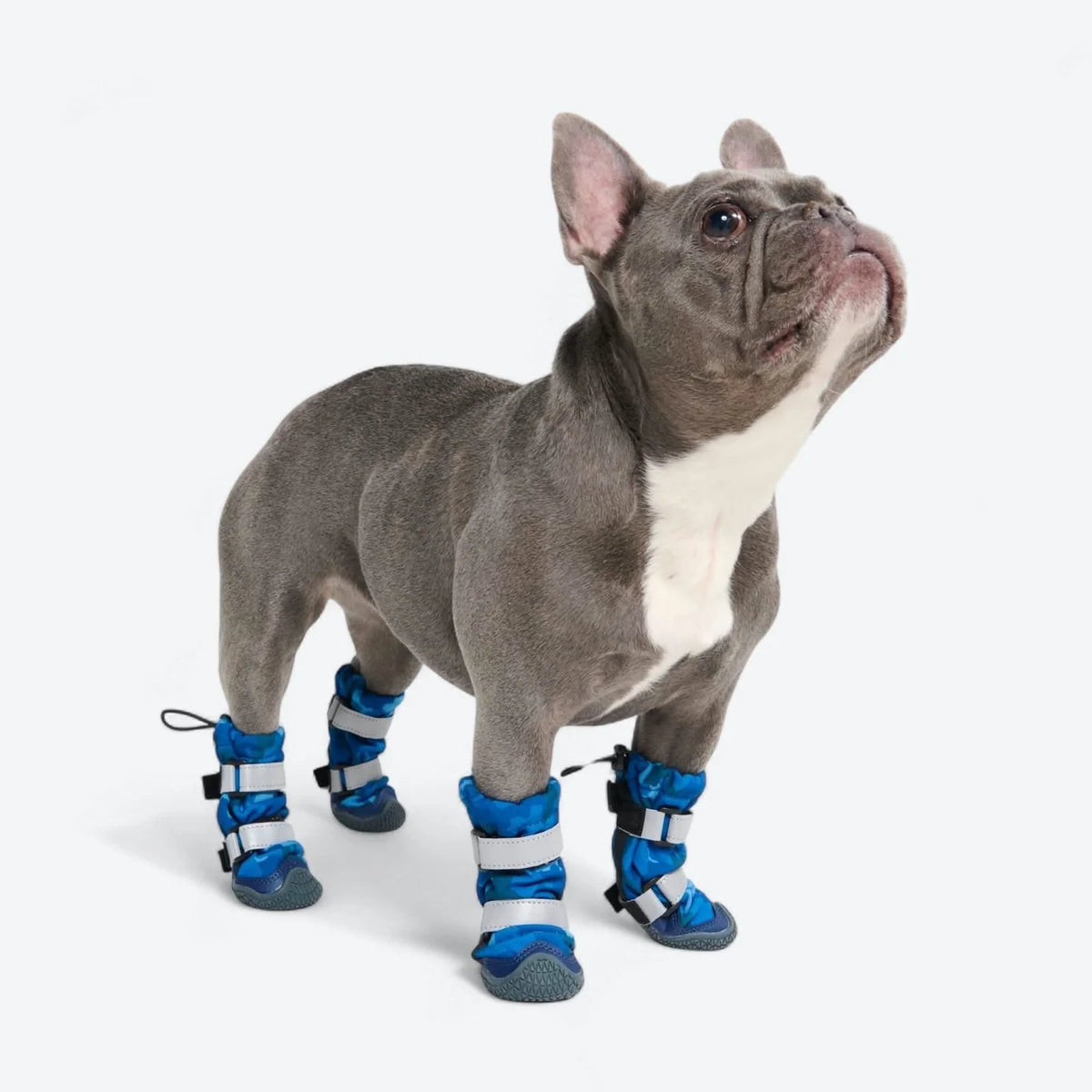 Dog Boots with Water-Resistant Exterior, Reflective Straps and Secure Velcro Fit for Snow, Salt and Rough Ground