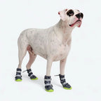 Dog Boots with Water-Resistant Exterior, Reflective Straps and Secure Velcro Fit for Snow, Salt and Rough Ground