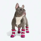 Dog Boots with Water-Resistant Exterior, Reflective Straps and Secure Velcro Fit for Snow, Salt and Rough Ground