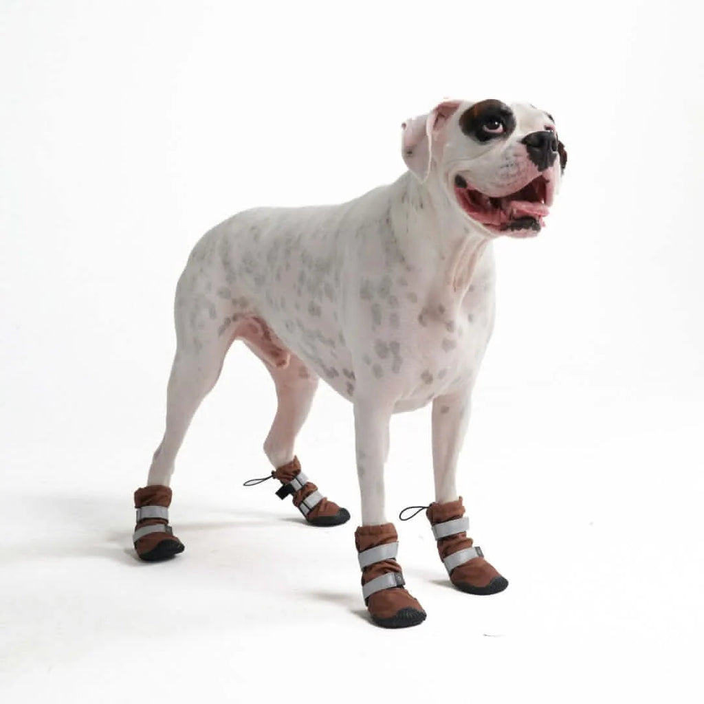 Dog Boots with Water-Resistant Exterior, Reflective Straps and Secure Velcro Fit for Snow, Salt and Rough Ground
