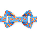 Dog Bow Tie Collar Accessory with Removable Two-Loop Design in Small or Large Sizes · Removable bow tie accessory