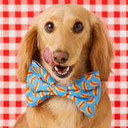 Dog Bow Tie Collar Accessory with Removable Two-Loop Design in Small or Large Sizes · Removable bow tie accessory