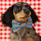 Dog Bow Tie Collar Accessory with Removable Two-Loop Design in Small or Large Sizes · Removable bow tie accessory