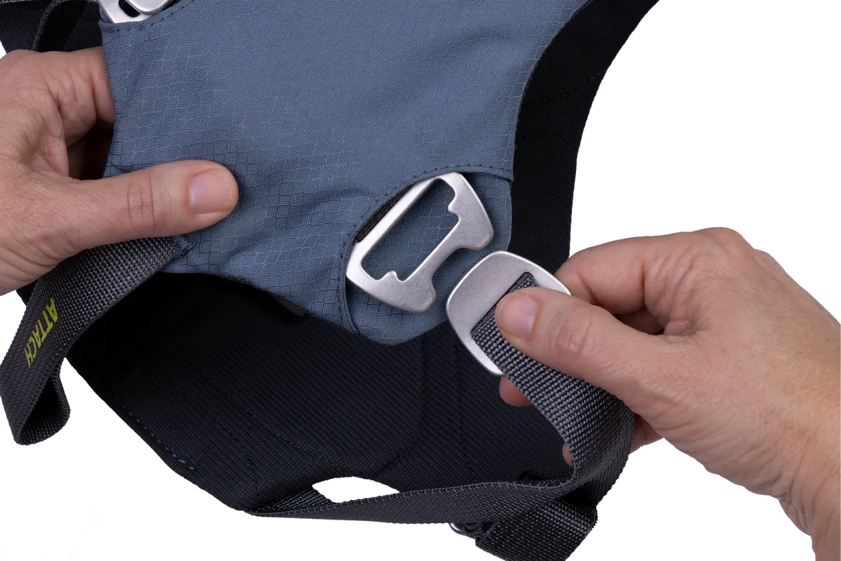 Dog Car Harness