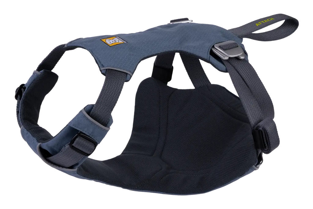 Dog Car Harness