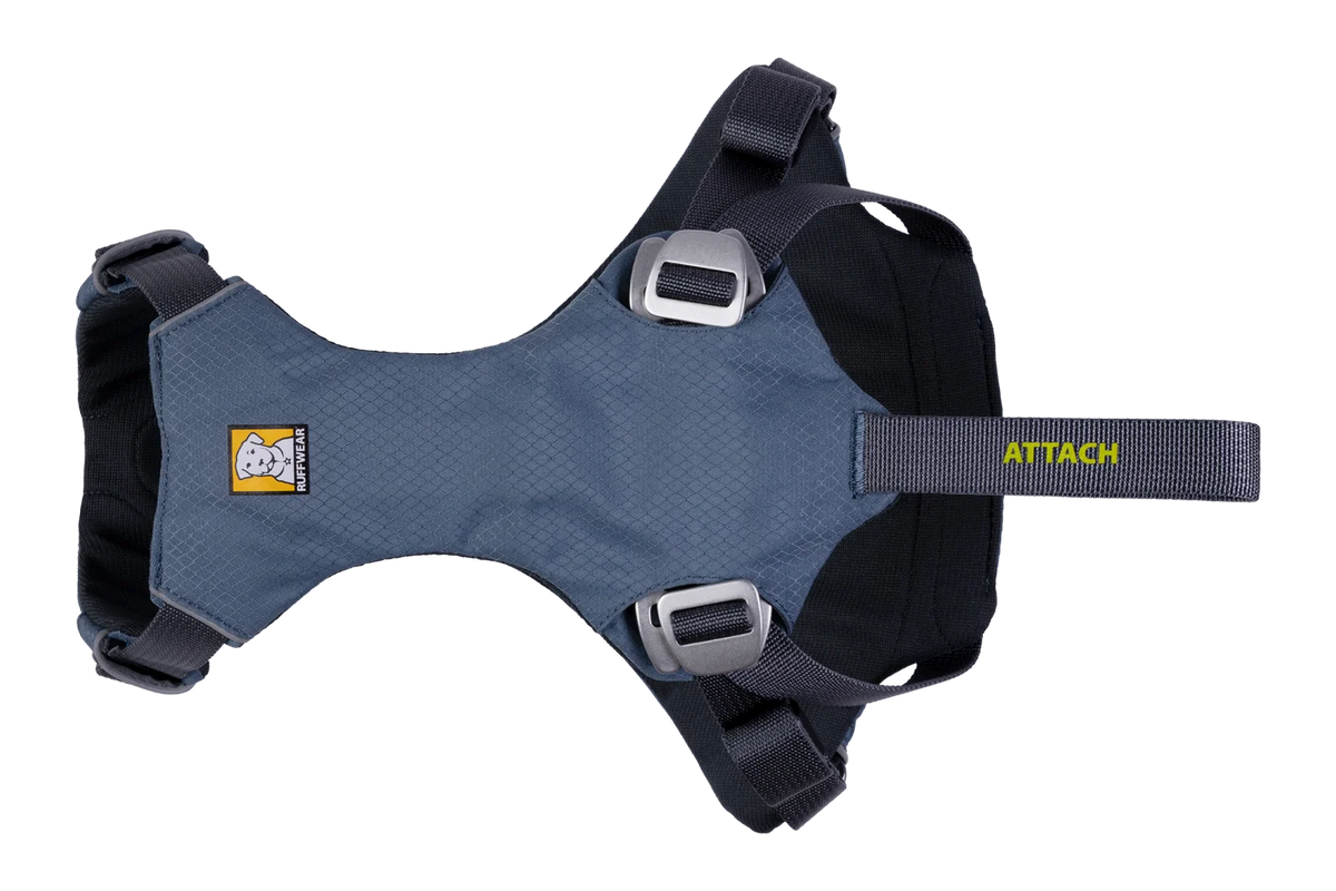 Dog Car Harness