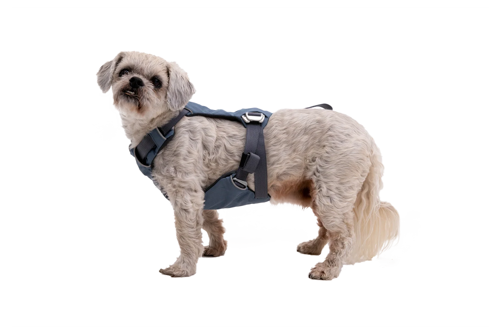 Dog Car Harness