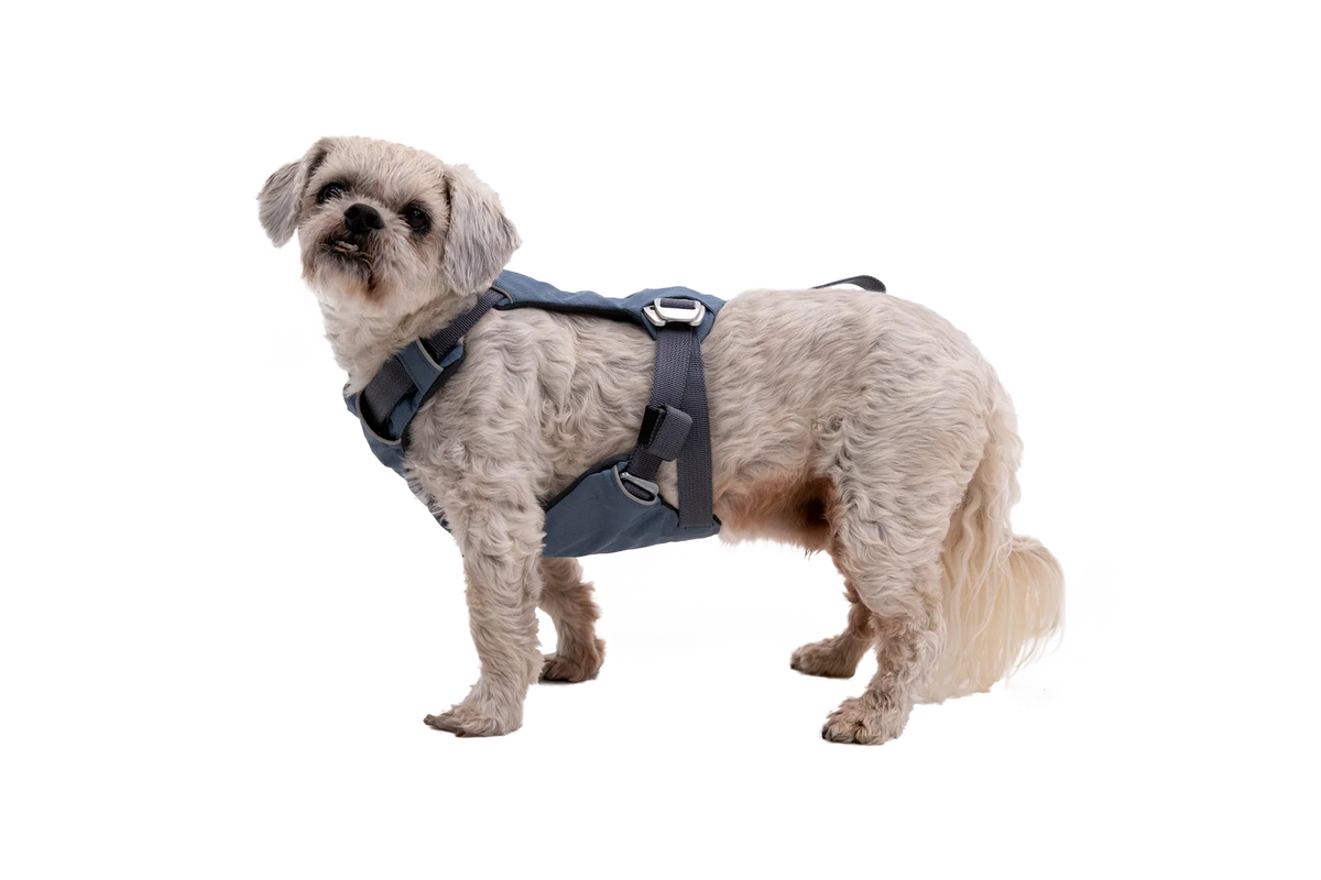 Dog Car Harness