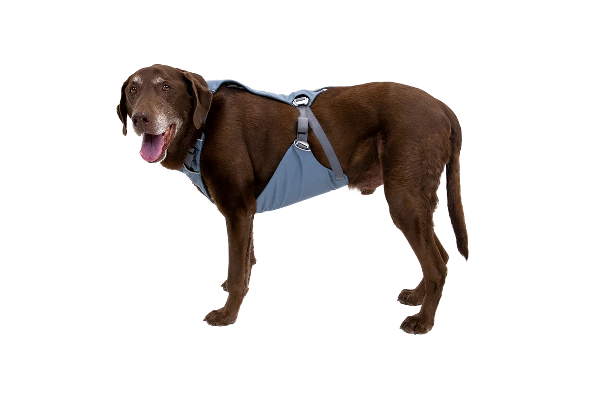 Dog Car Harness