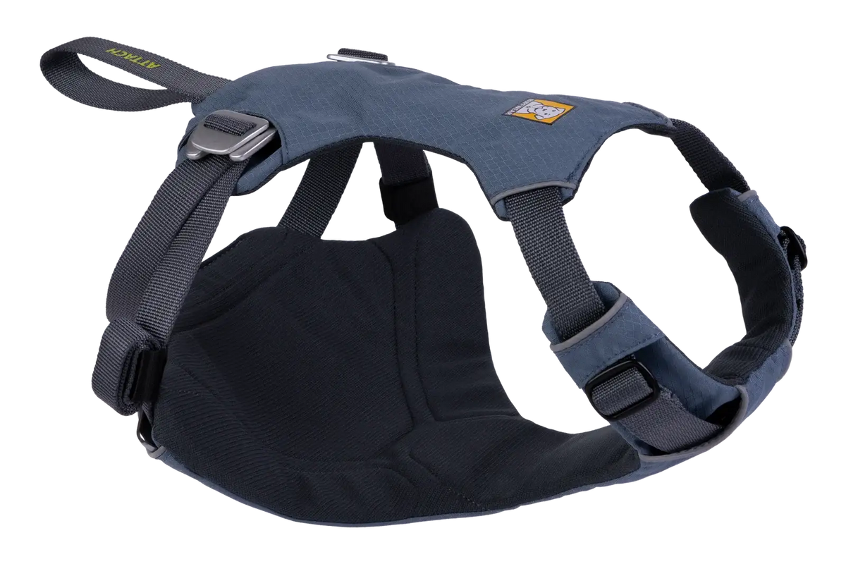 Dog Car Harness