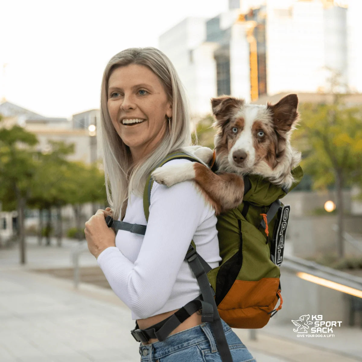 Dog Carrier Backpack That Converts to an Everyday Foldover
