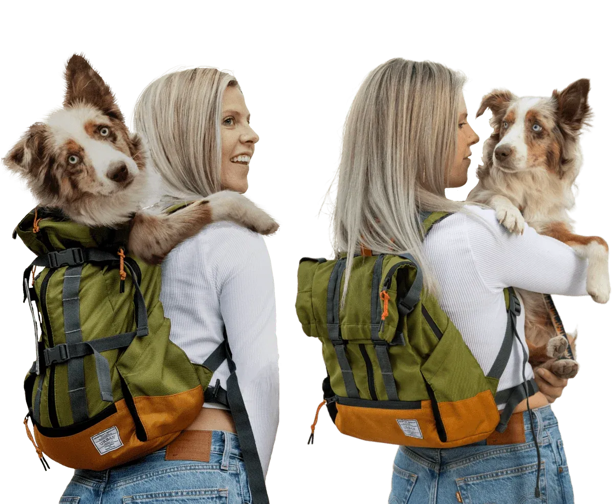 Dog Carrier Backpack That Converts to an Everyday Foldover