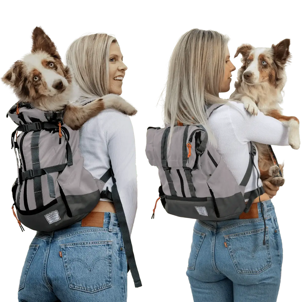 Dog Carrier Backpack That Converts to an Everyday Foldover