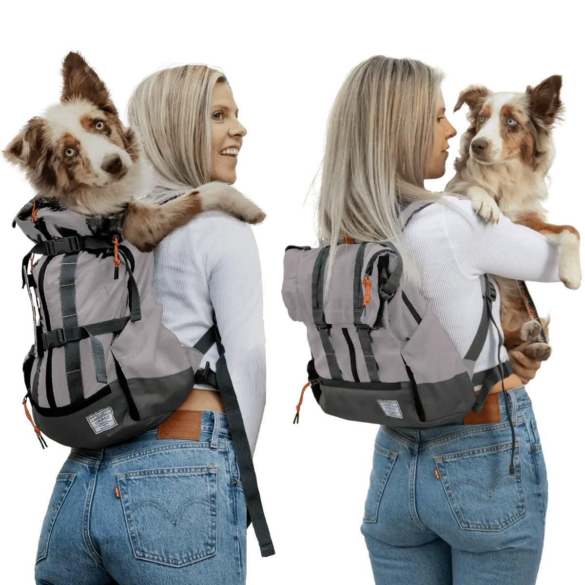 Dog Carrier Backpack That Converts to an Everyday Foldover