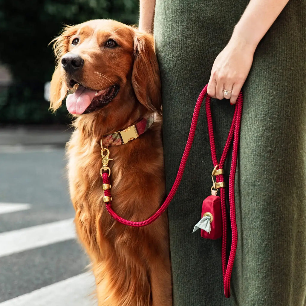 Dog Collar and Leash Set with Orchard Plaid Flannel Collar, Wine Rope Leash and Waste Bag Holder