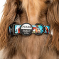 Dog Collar