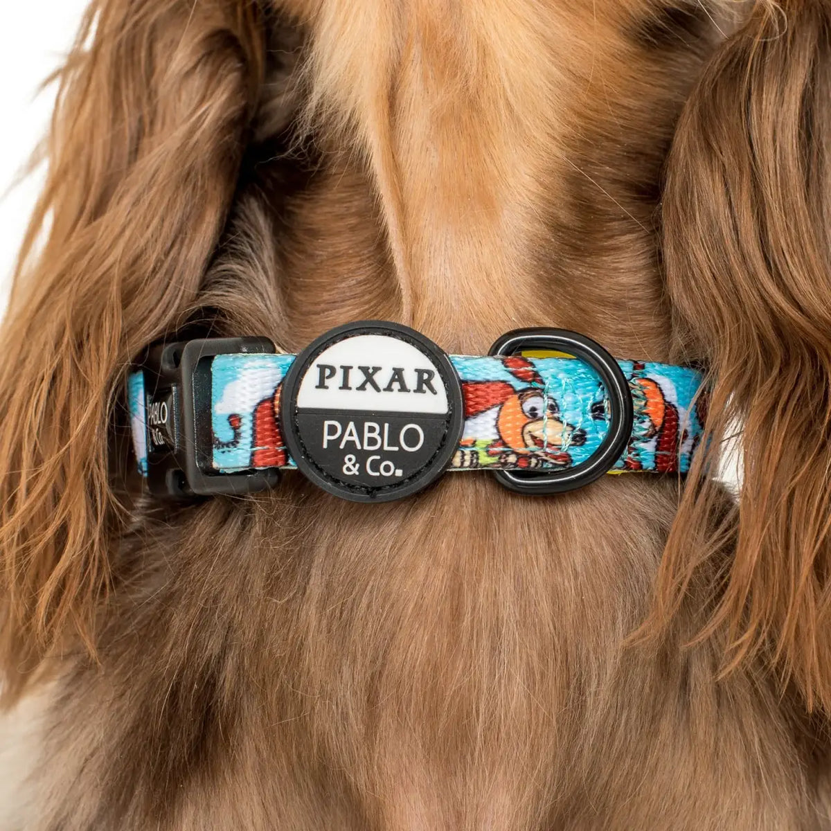 Dog Collar