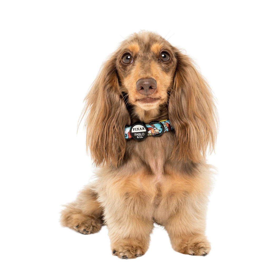 Dog Collar