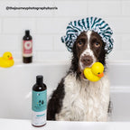 Dog Conditioner