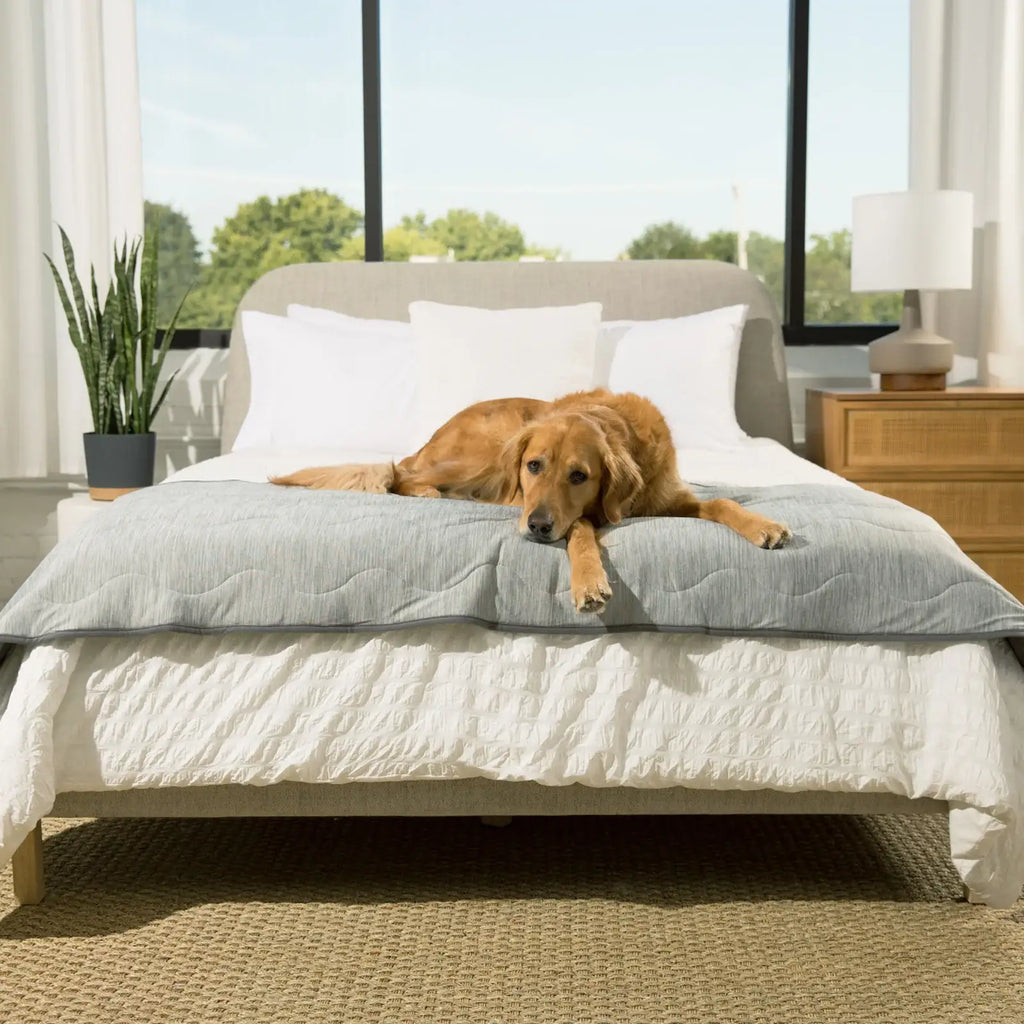 Dog Cooling Waterproof Runner Blanket in Arctic Grey