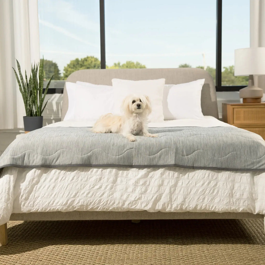 Dog Cooling Waterproof Runner Blanket in Arctic Grey