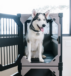 Dog Crate Pad in Black Vinyl Comfort Cushion for Stationary or Collapsible Crates, Multiple Sizes