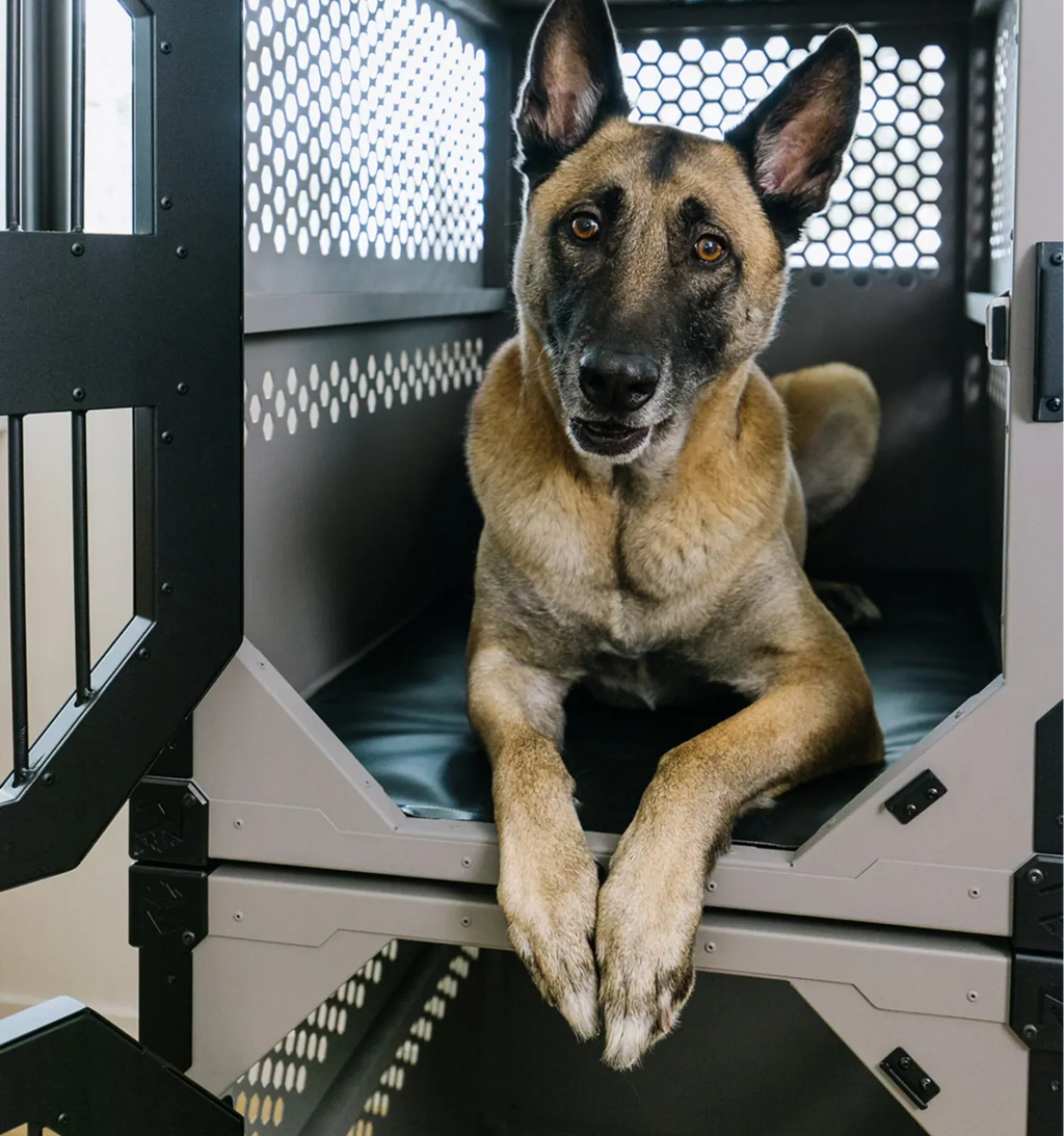 Dog Crate Pad in Black Vinyl Comfort Cushion for Stationary or Collapsible Crates, Multiple Sizes
