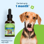 Dog Dental Care in an Alcohol-Free Topical Formula
