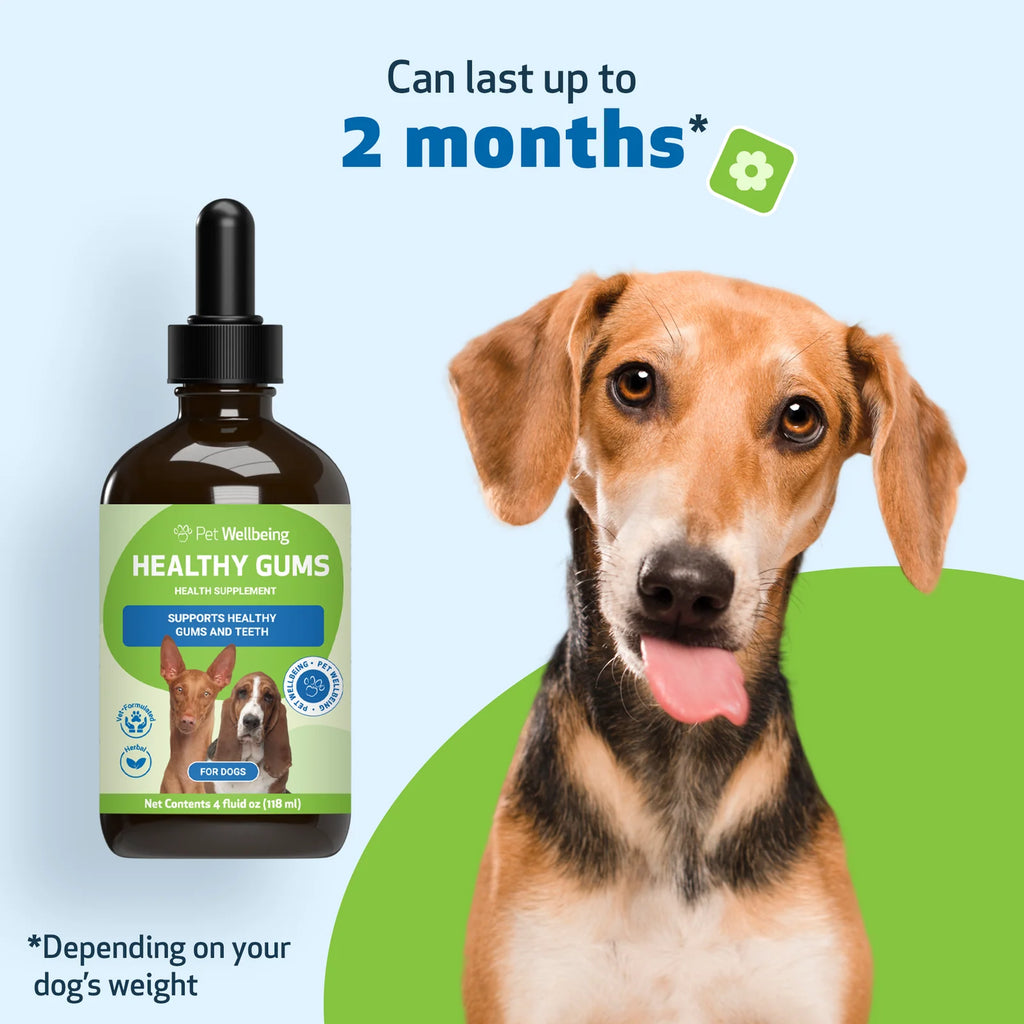 Dog Dental Care in an Alcohol-Free Topical Formula