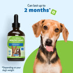 Dog Dental Care in an Alcohol-Free Topical Formula