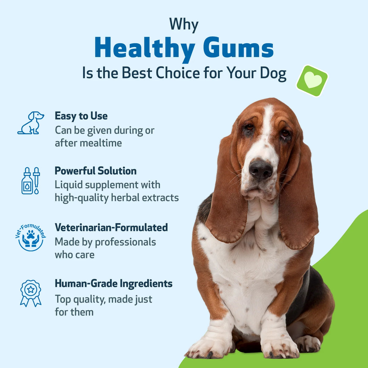 Dog Dental Care in an Alcohol-Free Topical Formula