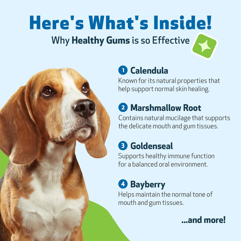 Dog Dental Care in an Alcohol-Free Topical Formula