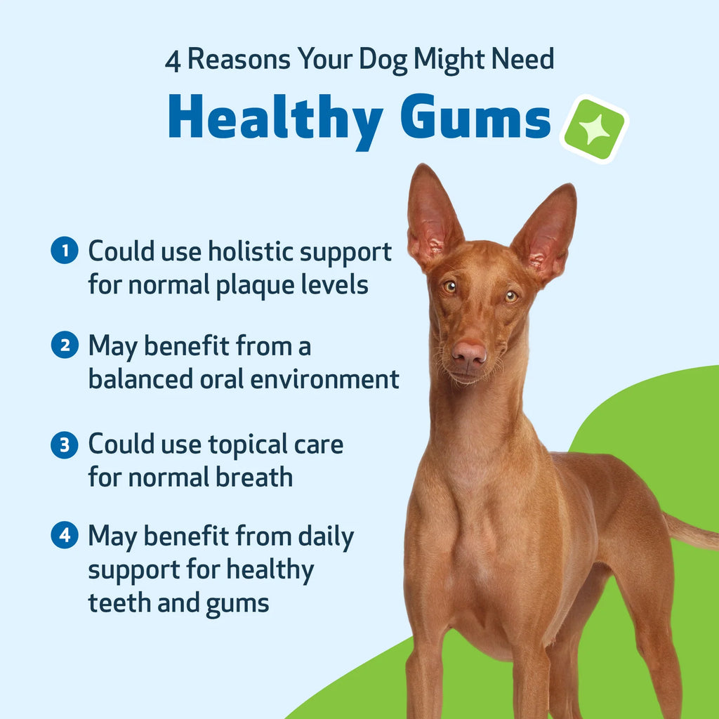 Dog Dental Care in an Alcohol-Free Topical Formula