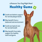 Dog Dental Care in an Alcohol-Free Topical Formula