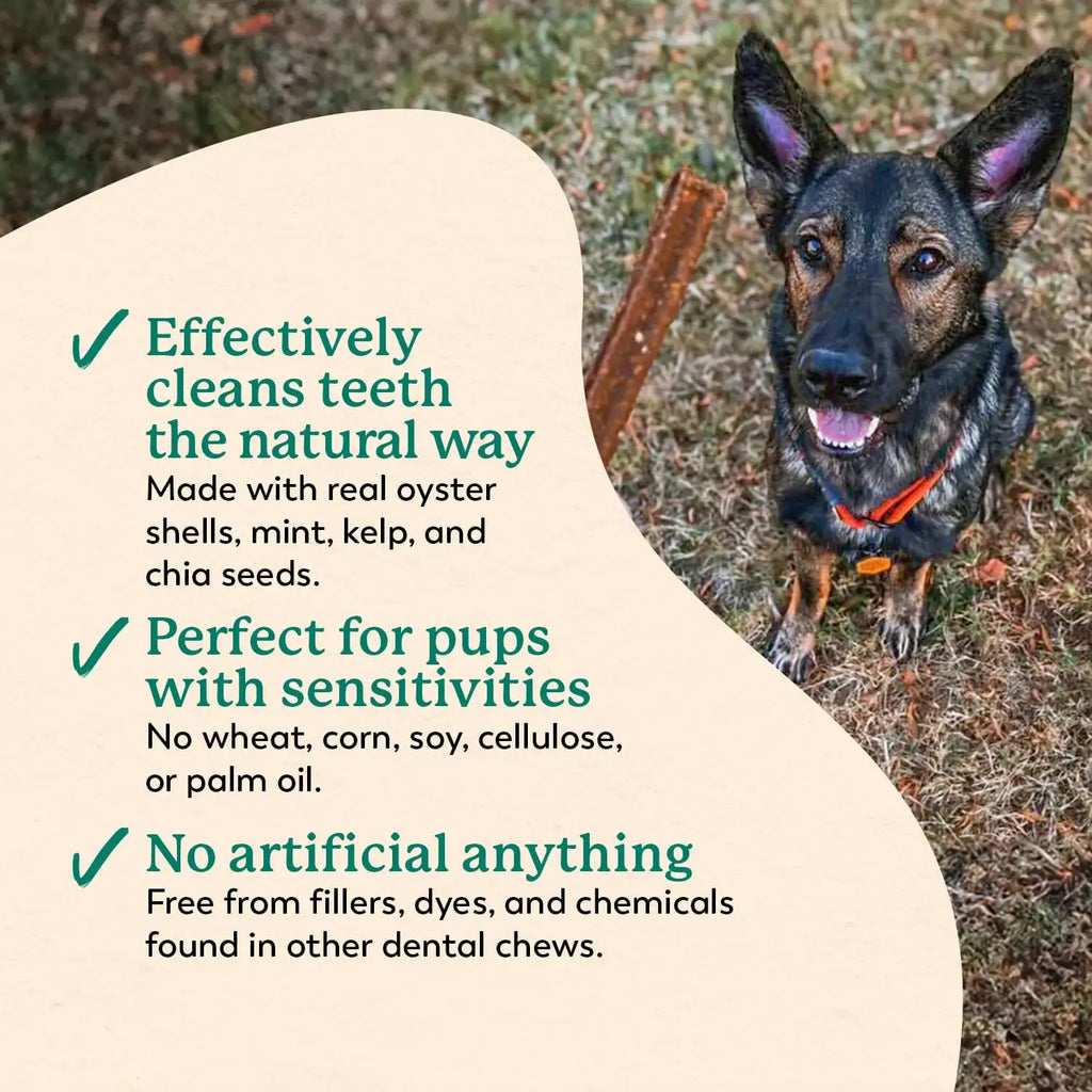 Dog Dental Chews