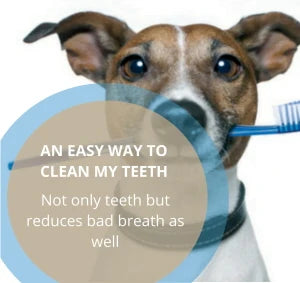 Dog Dental Seaweed Granules