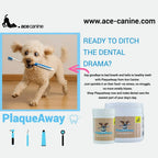 Dog Dental Seaweed Granules