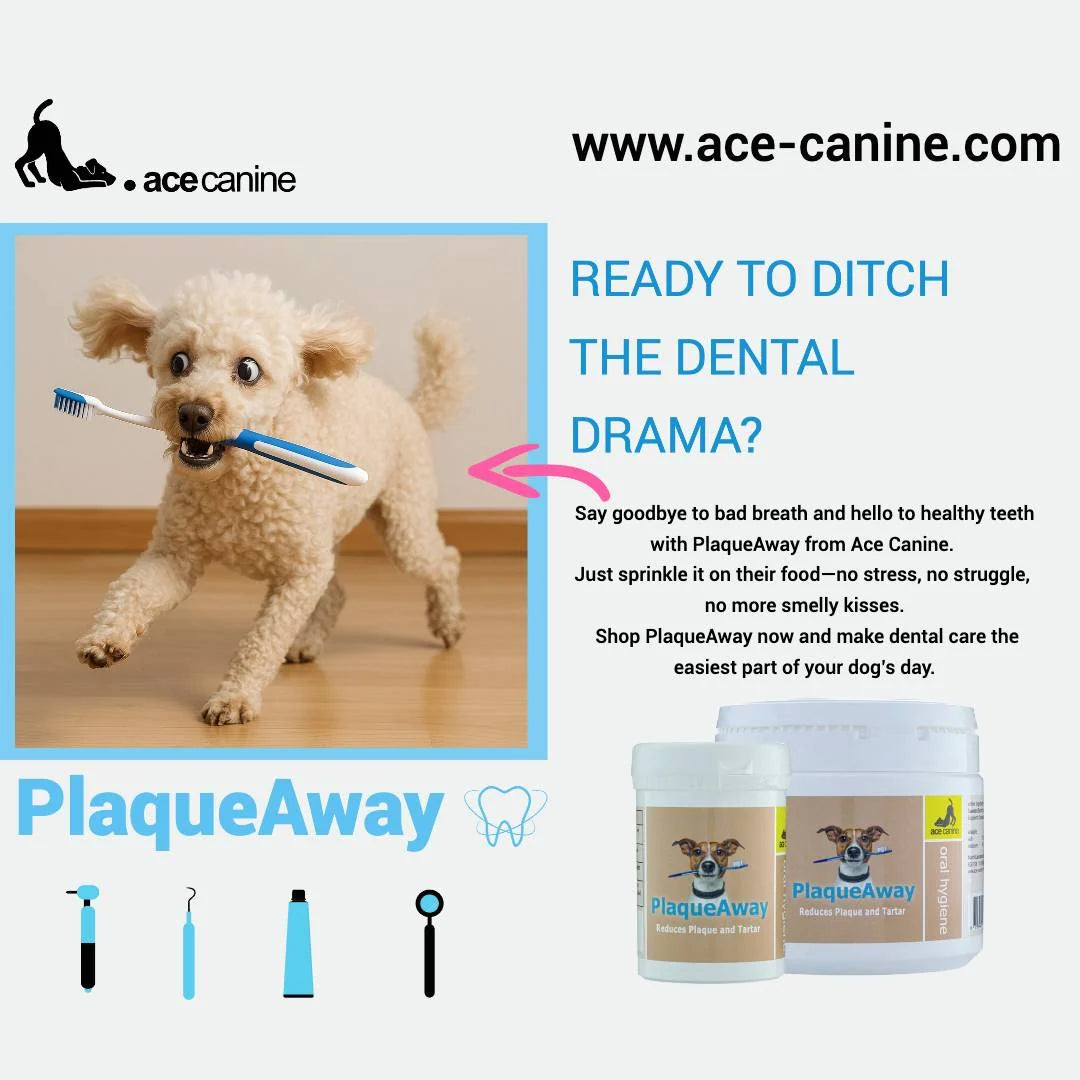 Dog Dental Seaweed Granules