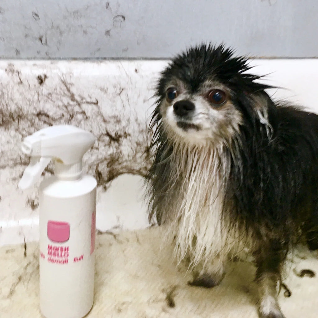 Dog Detangler Spray
