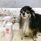 Dog Detangler Spray