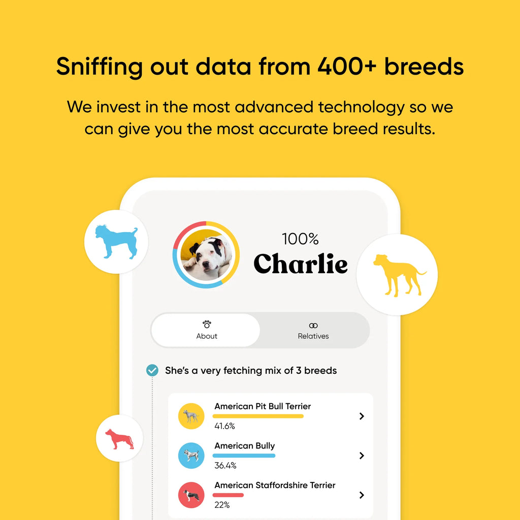 Dog DNA Test Kit