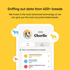 Dog DNA Test Kit