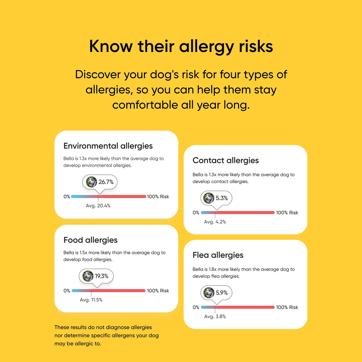 Dog DNA Test Kit