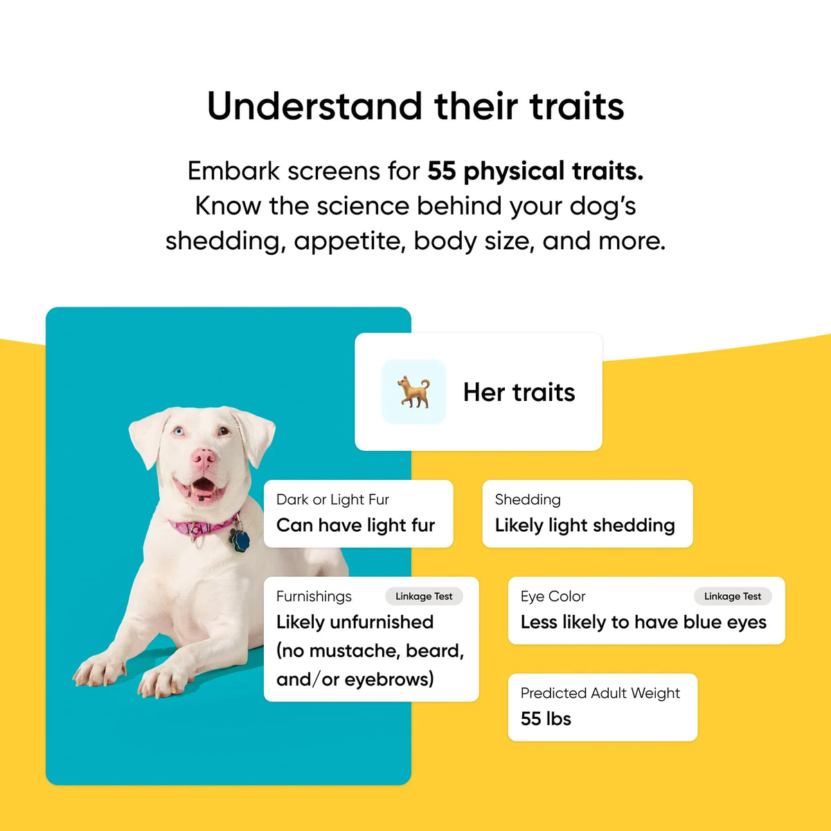 Dog DNA Test Kit
