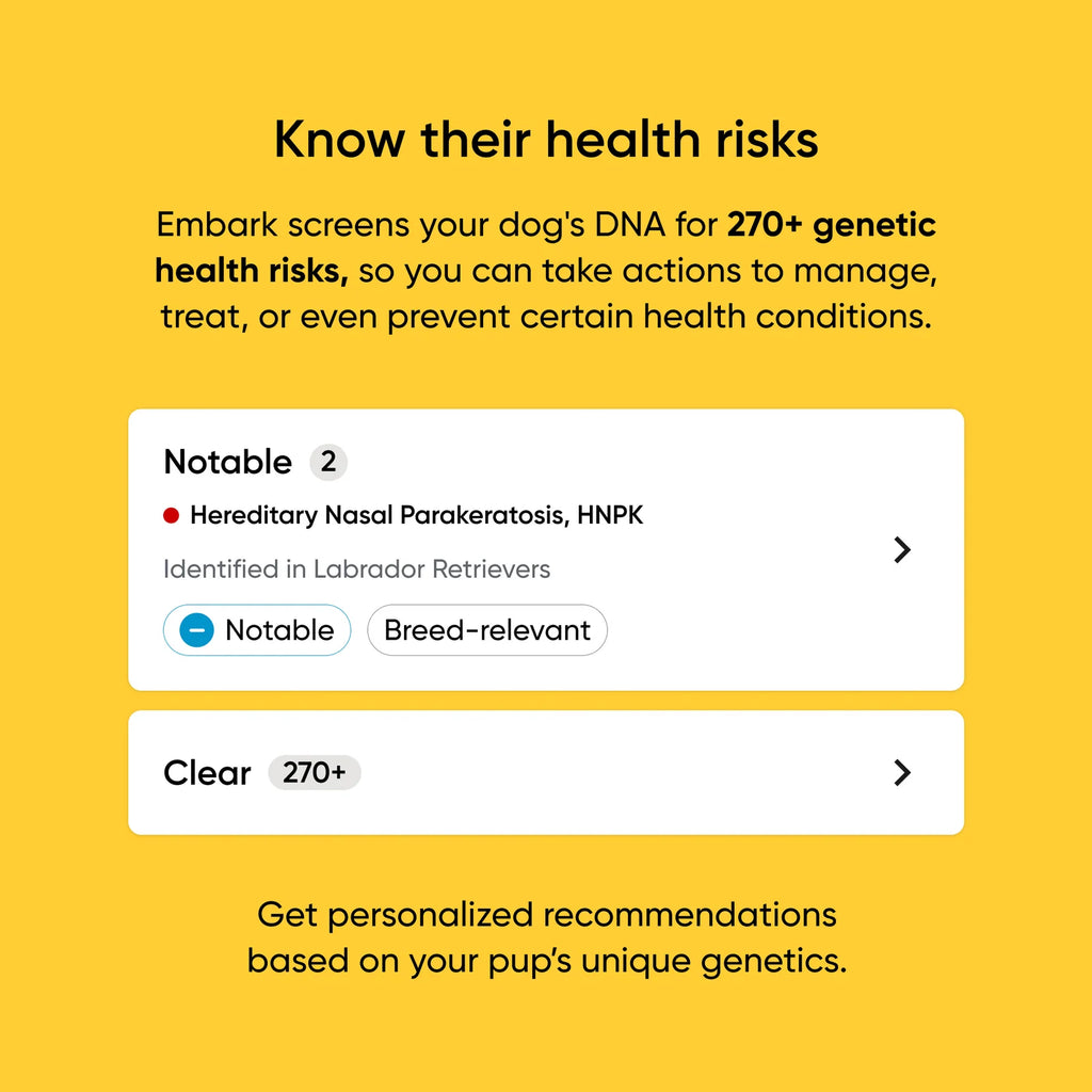 Dog DNA Test Kit