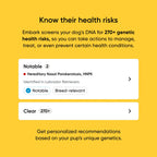 Dog DNA Test Kit