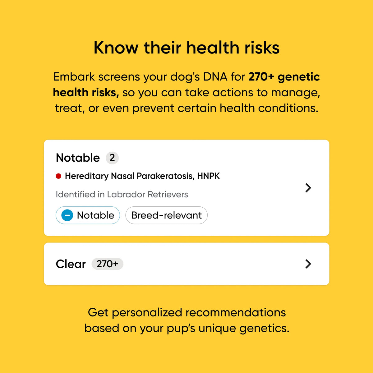 Dog DNA Test Kit