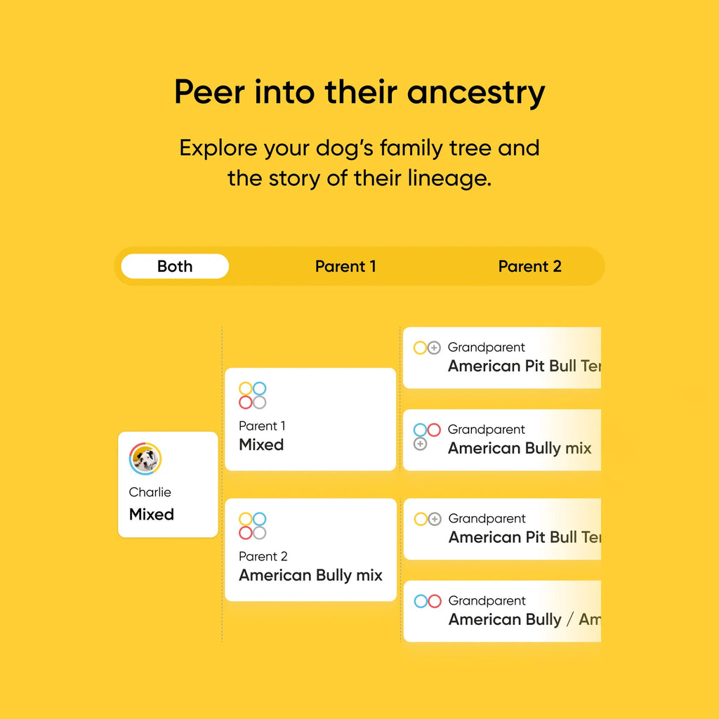 Dog DNA Test Kit