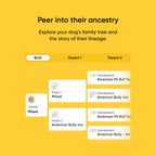 Dog DNA Test Kit