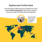 Dog DNA Test Kit